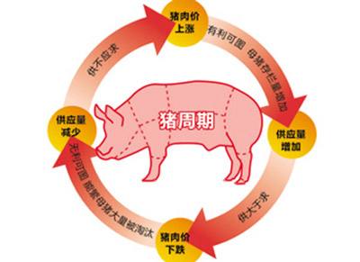产能去化若再增10%，未来猪价反弹幅度可达80%-90%？