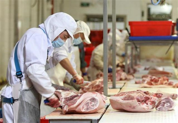 价格连续多周上涨，出栏量仍充裕，专家表示：猪肉供需趋向基本平衡