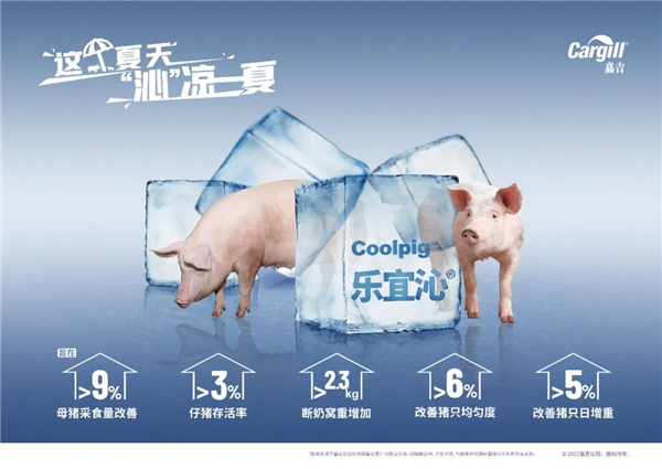 “沁”凉一夏，应对猪场热应激的管理措施