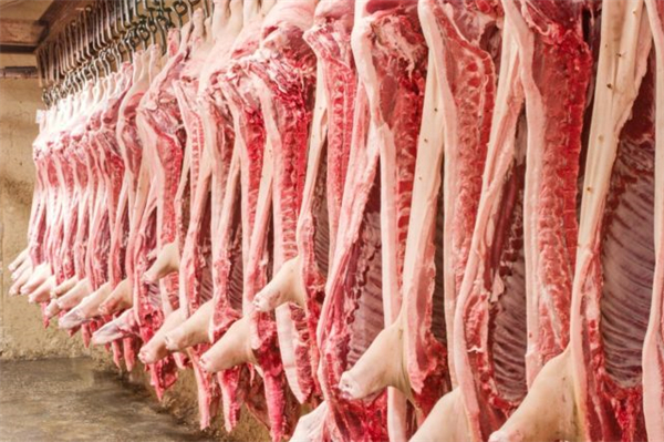 巴西一季度猪肉产量124万吨，出口量下降6.7%