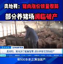 奥地利：猪肉涨价销量骤降 部分养猪场濒临破产