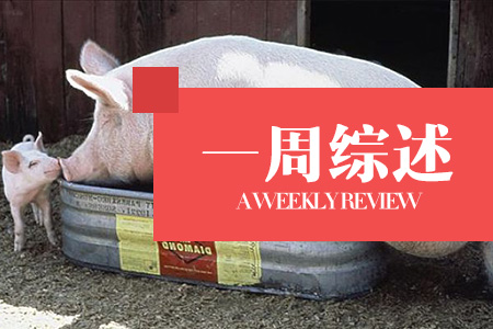 猪价已“熄火”！生猪产能回归正常，预计年内猪价维持在盈利区间！（第29周综述）