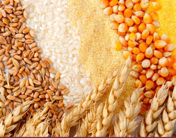 安迪苏2021玉米蛋白粉、玉米DDGS营养价值调查报告