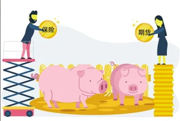 什么是生猪“保险+期货”？如何分散养猪风险？
