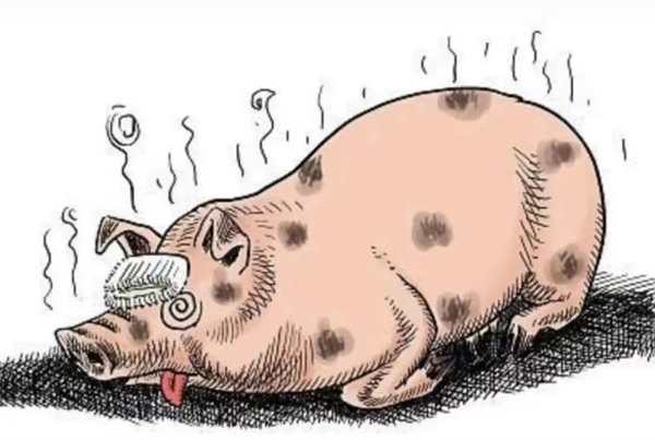 印度阿萨姆邦发现非洲猪瘟，该邦约有40159头猪死于该病