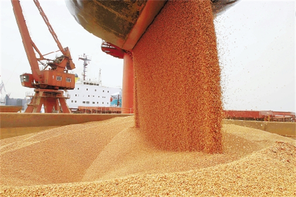 全球玉米格局改变？巴西玉米出口激增221%！