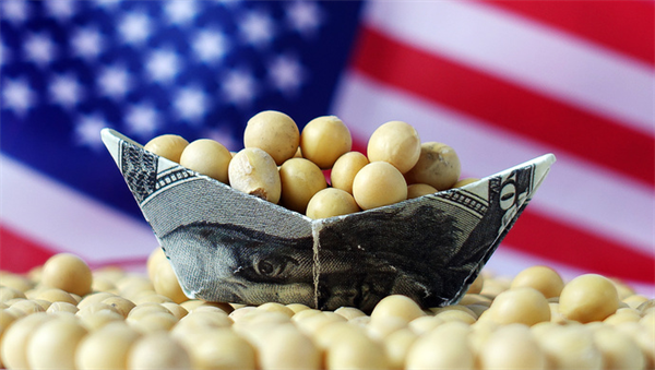 上半年中国进口美国农产品金额创历史新高，有望成美国农产品的头号买家
