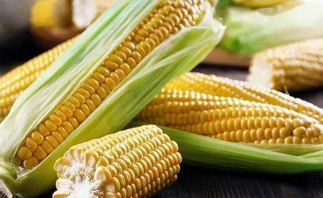 欧洲玉米产量下滑，乌克兰可从中得益？