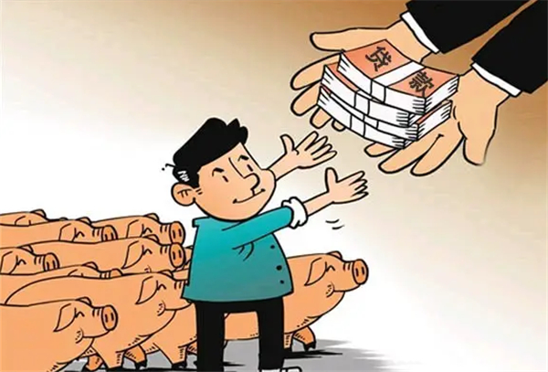 农发行景东县支行发放450万元农业小企业贷款，用于支持生猪养殖