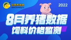 2022年8月養豬數據 飼料價格監測