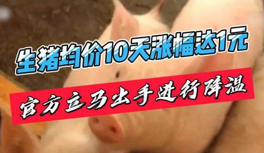 广东突破14.5元/斤！发改委9日称将投放第五批储备肉！预计猪价出现回调！