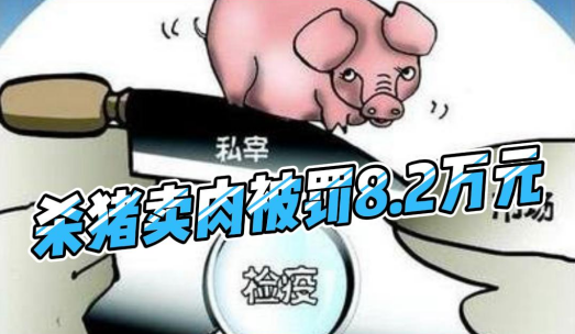杀猪卖肉被罚8.2万元！全部生猪产品进行无害化处理！