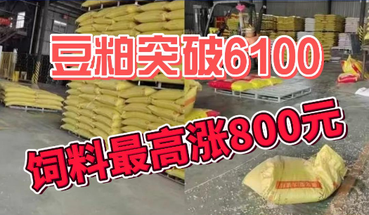 豆粕6100，多厂停产！饲企亏损，饲料再次进入涨价潮！