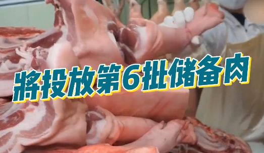 猪肉价格进入一级预警区间，近日将投放第6批储备肉！