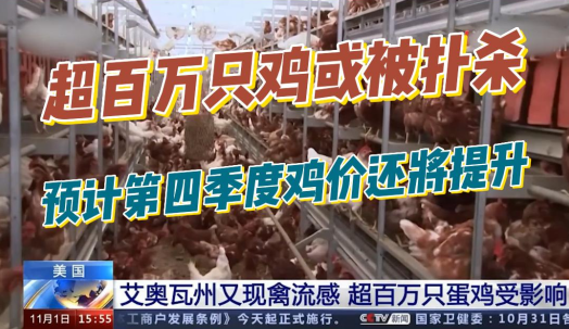 美国再暴发禽流感，超100万只鸡或被扑杀！