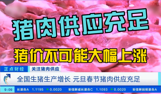 专家：全国生猪生产增长，元旦春节猪肉供应充足，持续上涨可能性不大！