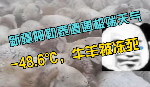 新疆阿勒泰遭遇10年内最强寒潮天气，最低气温-48.6℃！牛羊成群成群的被冻死！