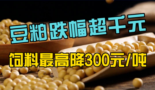 豆粕跌超1000元/吨！饲料最高降300元/吨！