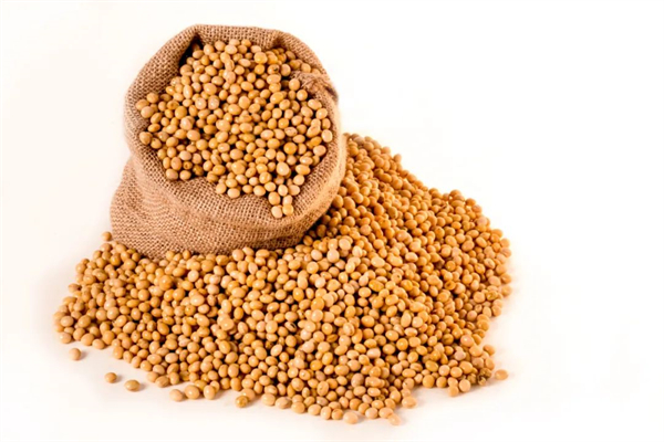 饲料企业是否能够确保膨化大豆在配方中发挥应有的效果？