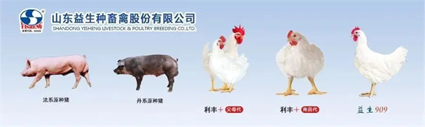 复展通知| 第37届山东畜牧业博览会定于3月16-17日在济南举办！
