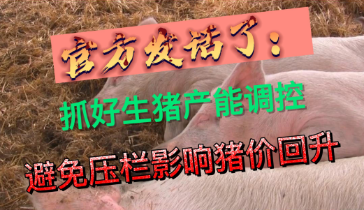 农业农村部：持续抓好生猪产能调控，避免盲目压栏影响价格回升！