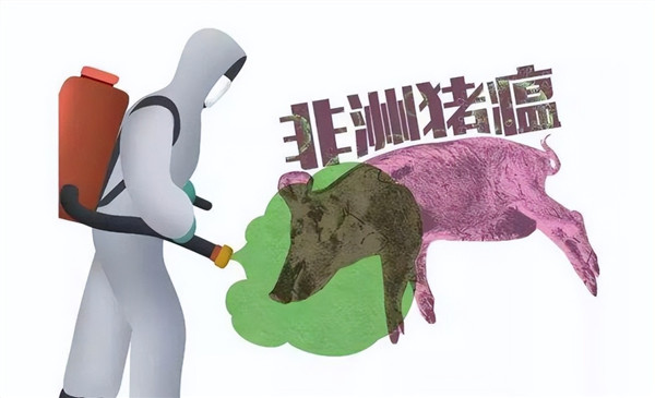 为什么非洲猪瘟疫苗研发困难？中国生产商用非洲猪瘟疫苗还需多久？