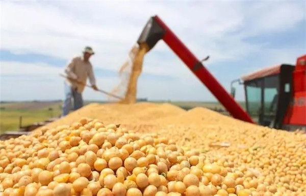 农业农村部：提高稻谷小麦最低收购价，完善玉米、大豆生产者补贴