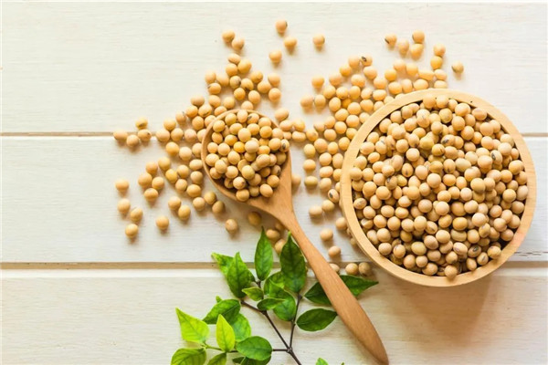 巴西马托格罗索州农户报告大豆单产仅为每公顷7.5至20袋