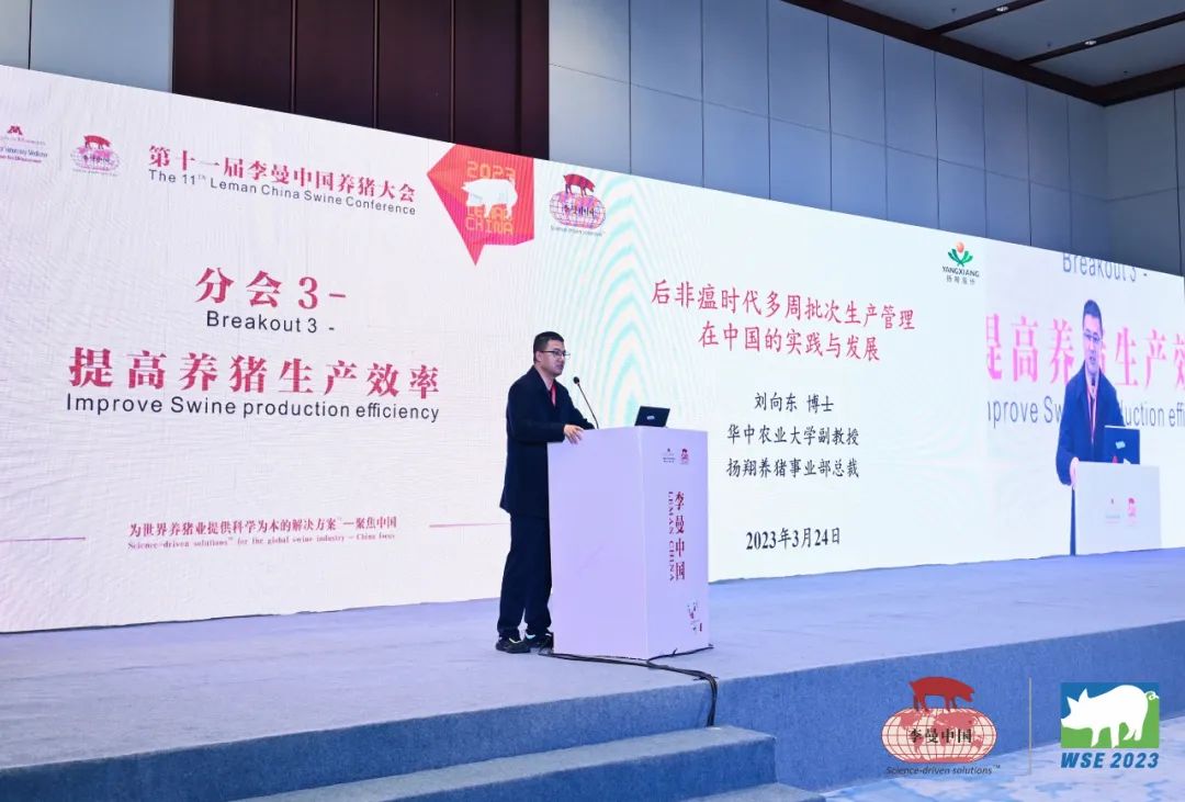 扬翔养猪总裁刘向东：如何通过批次化生产管理使猪场经济效益最大化