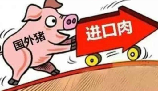 进口肉同比大幅增长！“料王”缺钱卖猪场？