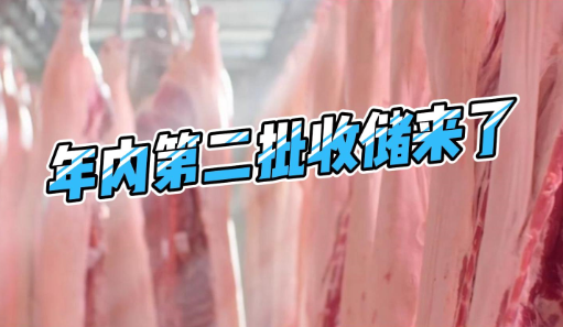 官方将研究启动年内第二批中央冻猪肉储备收储工作！