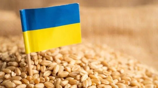 世界第二大粮食出口国！乌克兰生产的粮食主要销往哪些国家？