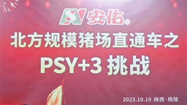 PSY+3挑战再度火爆来袭！安佑集团携规模客户深度参与李曼大会