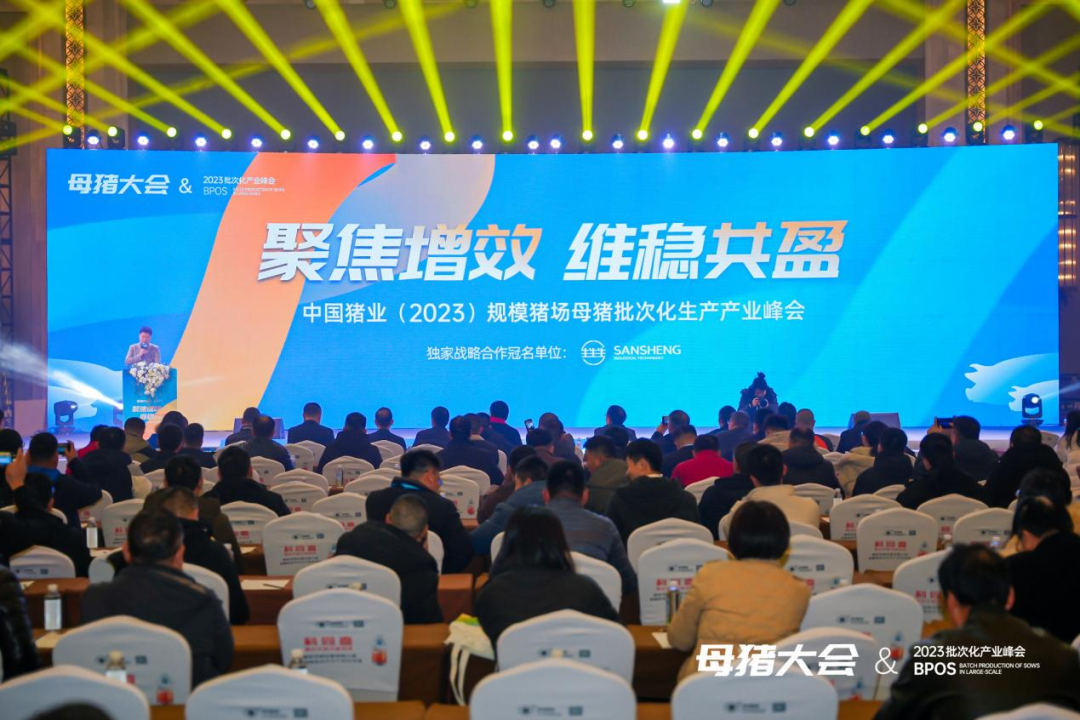 聚焦增效 维稳共盈！宁波三生深度参与“中国猪业（2023）规模猪场母猪批次化生产产业峰会”，赋能产业高质发展！