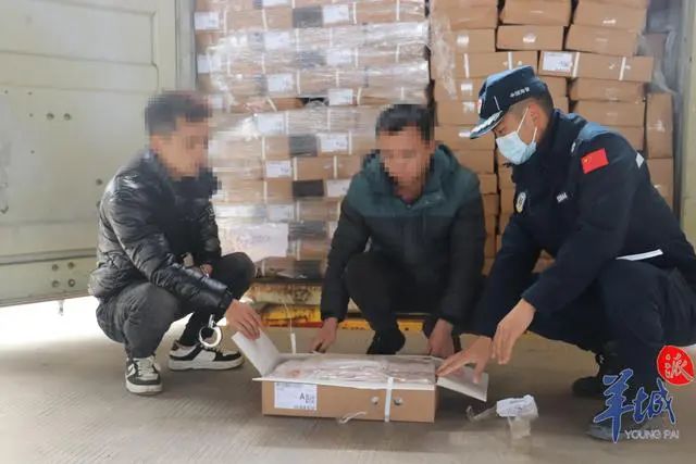 广东海警查获300余吨私冻品，案值约1500万元