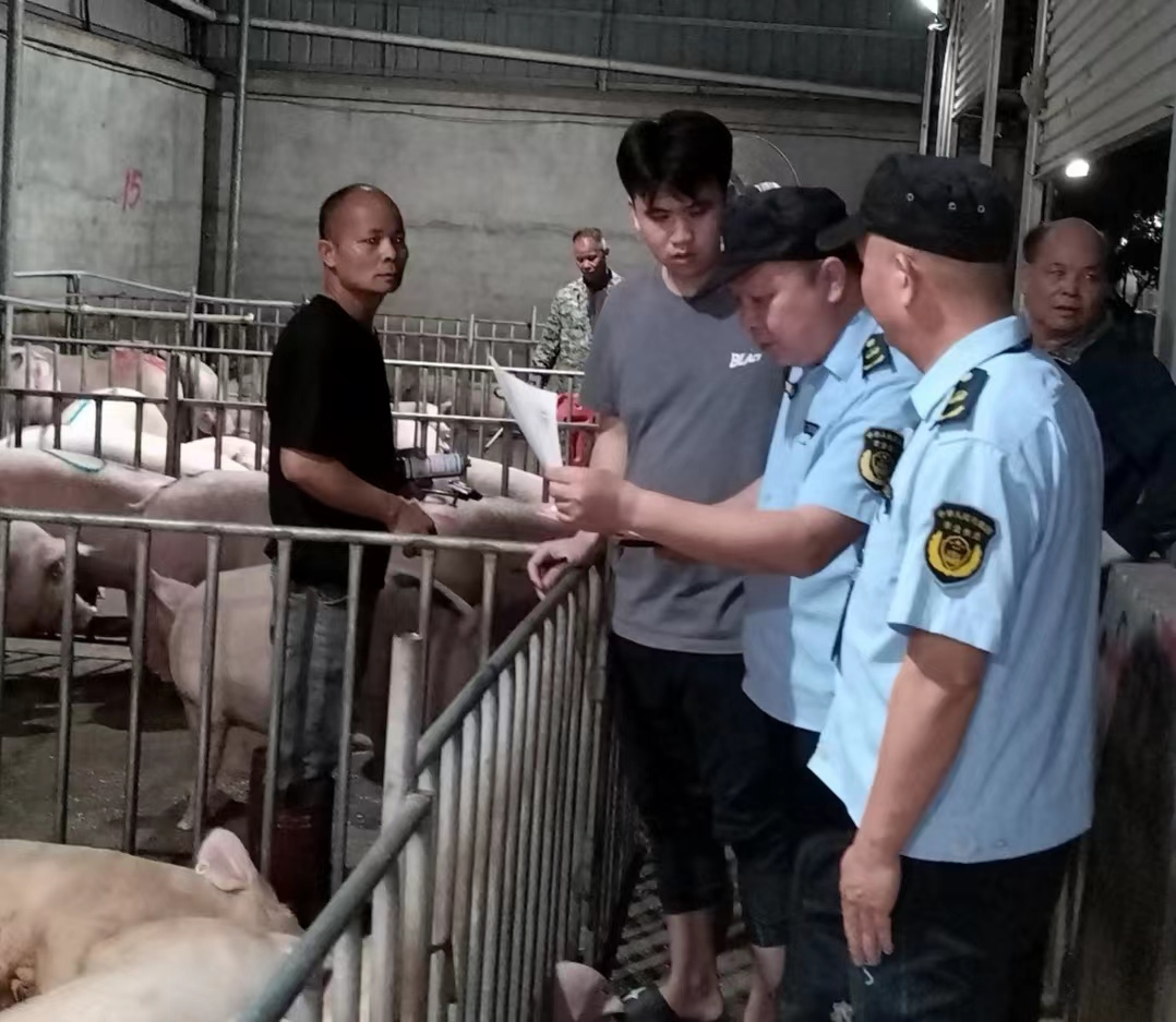 博白县农业综合行政执法大队：强化生猪屠宰行业执法检查，筑牢肉食品质