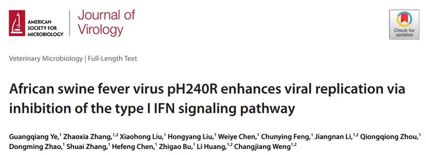新进展！非洲猪瘟病毒pH240R通过抑制I型干扰素信号通路来增强病毒复