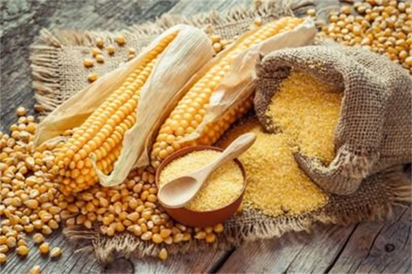 玉米拉锯战升级 小麦降价的幕后“推手”是官方？